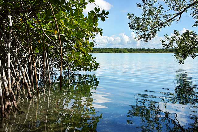 Bacalar Lagoon