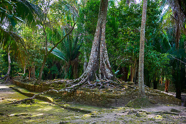 Las Vias at Chacchoben ruins