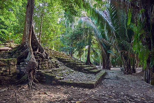 Las Vias at Chacchoben